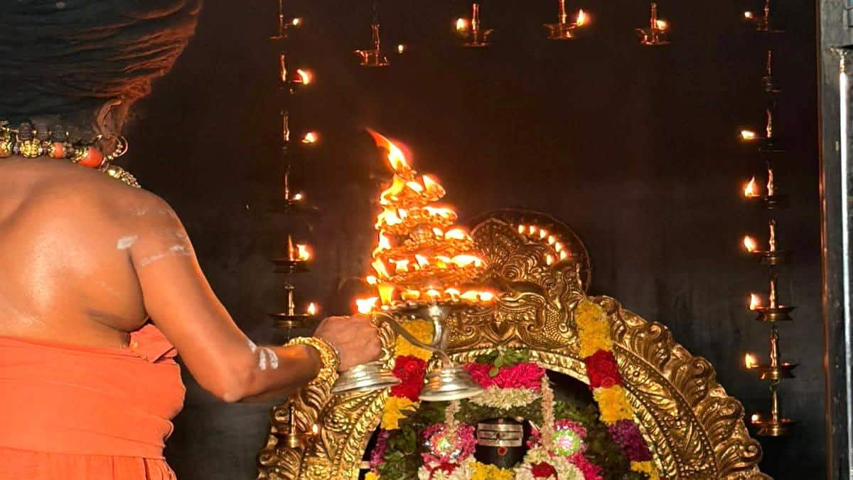 யானைகள் அணிவகுக்க வெள்ளிப் பல்லக்கில் வீதியுலா! தருமபுரம் ஆதீனத்தில் சிலிர்க்க வைத்த ஆன்மீகக் காட்சி!