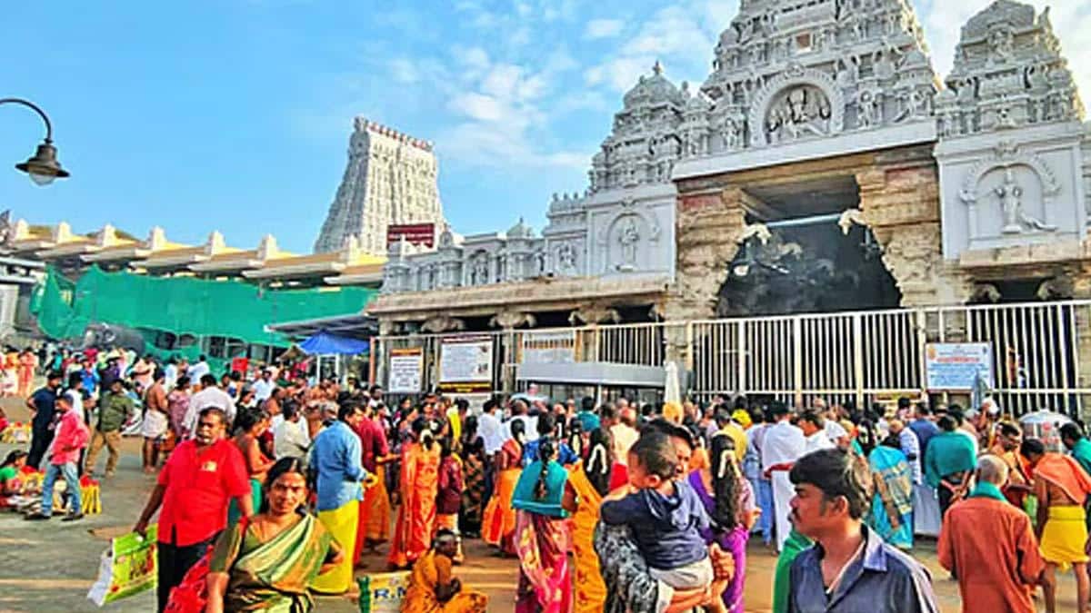 திருச்செந்தூர் கோயில் செயல்பாடுகள் மீது கண்காணிப்பு! உயர்மட்ட அதிகாரிகள் குழு அமைப்பு.