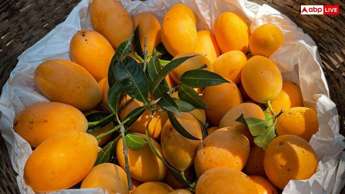 Nepal Suspends Indian Mango Imports Over Pesticide Residues Days After Japan Ban