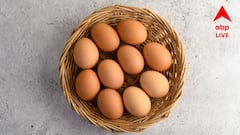 Egg Quality: ডিম পচা নাকি টাটকা? সহজ পরীক্ষা করুন কেনার আগেই! উপায় বলে দিলেন চিকিৎসক