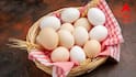 Egg Quality: ডিম পচা নাকি টাটকা? সহজ পরীক্ষা করুন কেনার আগেই! উপায় বলে দিলেন চিকিৎসক