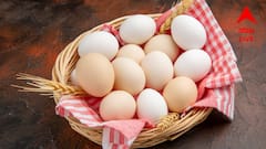 Egg Quality: ডিম পচা নাকি টাটকা? সহজ পরীক্ষা করুন কেনার আগেই! উপায় বলে দিলেন চিকিৎসক