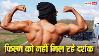 900 करोड़ी फिल्म का विलेन, अब 1 करोड़ कमाने भी हो रहे मुश्किल, लाखों में सिमटा कारोबार
