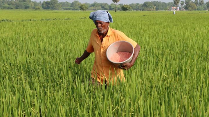इसके मुताबिक अरहर बोने के पैटर्न और टाइमिंग में मामूली सा बदलाव करके न सिर्फ सॉइल हेल्थ सुधारी जा सकती है. बल्कि प्रोडक्शन को भी नई ऊंचाइयों पर पहुंचाया जा सकता है. यह तकनीक उन किसानों के लिए मुनाफे वाली साबित हो रही है जो पुराने ढर्रे से हटकर कुछ नया और ज्यादा मुनाफे वाला करना चाहते हैं. आप भी जान लें पूरा तरीका.