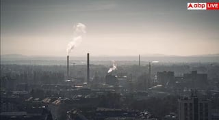 Air Pollution Effects On Brain : ਸਾਵਧਾਨ ! ਹਵਾ ਪ੍ਰਦੂਸ਼ਣ ਕਰ ਰਿਹਾ ਯਾਦਦਾਸ਼ਤ ਨੂੰ ਕਮਜ਼ੋਰ, ਦਿਮਾਗ ਨੂੰ ਵੀ ਪਹੁੰਚਾ ਰਿਹਾ ਭਾਰੀ ਨੁਕਸਾਨ