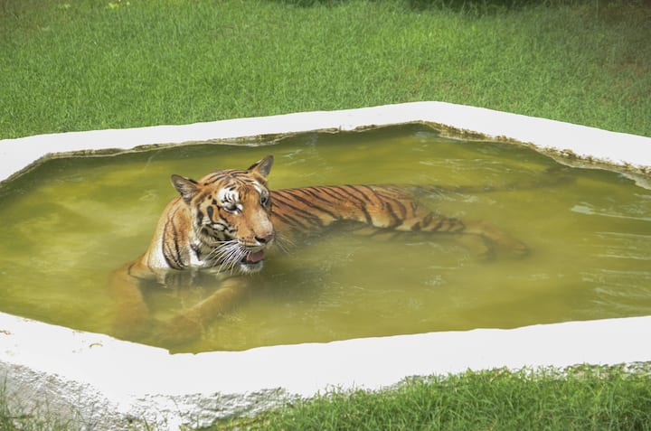সামান্য স্বস্তির খবর উত্তরবঙ্গের জন্য। আলিপুরদুয়ার ও জলপাইগুড়িতে আজ ও আগামী কয়েকদিন ভারি থেকে অতিভারি বৃষ্টিপাতের সম্ভাবনা রয়েছে। আজও বৃষ্টি হবে পাহাড়ে।