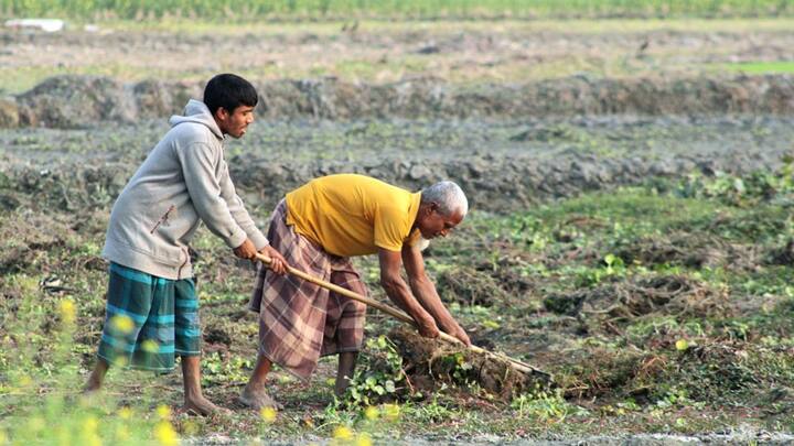 चीन के बाद इस लिस्ट में भारत का नंबर आता है. भारत दुनिया के प्रमुख कृषि उत्पादक देश में शामिल है. गेहूं, चावल, दालें गन्ना, कपास और कई अन्य फसलों का उत्पादन भारत में बड़े पैमाने पर किया जाता है. भारतीय किसान मुश्किल से मुश्किल परिस्थितियों में भी खेती जारी रखते हैं और देश की खाद्य सुरक्षा की रीढ़ माने जाते हैं. भारत कई कृषि उत्पादों का निर्यात भी करता है, जिससे किसानों और देश की अर्थव्यवस्था दोनों को फायदा होता है.