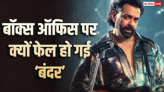 Bandar Box Office: बॉबी देओल की 'बंदर' को मिली तारीफें हजार, फिर भी बॉक्स ऑफिस पर क्यों रही बेकार? ये हैं 5 बड़ी वजहें