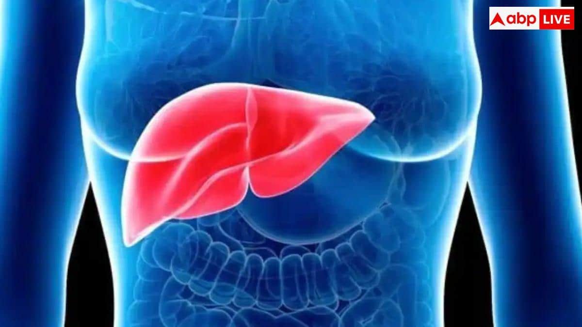 Fatty Liver Disease: शहरी भारत में हर तीसरा व्यक्ति फैटी लिवर का शिकार, नजरअंदाज किया तो हो सकता है कैंसर