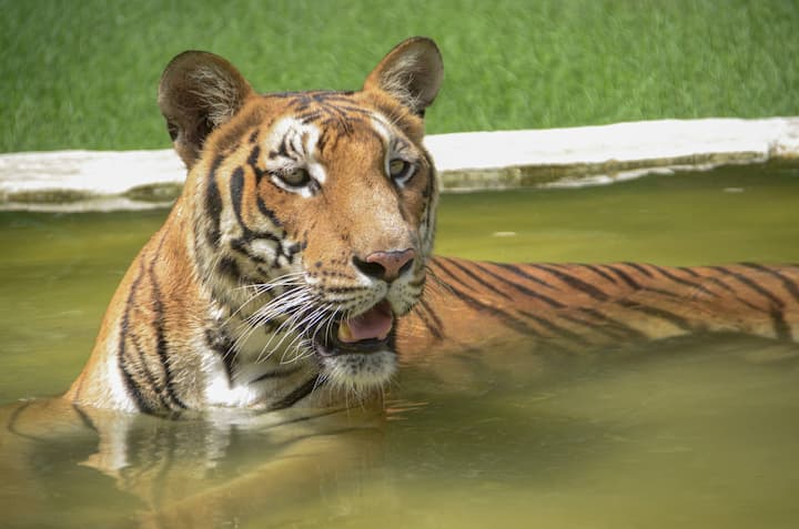 এই সপ্তাহান্ত পর্যন্ত দফায় দফায়, মুর্শিদাবাদ, বাঁকুড়া, বীরভূম, বর্ধমান ও ২ ২৪ পরগণায় বৃষ্টিপাতের সম্ভাবনা রয়েছে। এর ফলে, জেলার মানুষদের মিলবে সামান্য স্বস্তি।