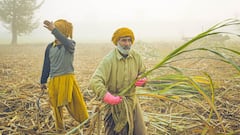 Rich armers: खेती करके करोड़पति बन रहे इन देशों के किसान, रकम सुनकर उड़ जाएंगे होश