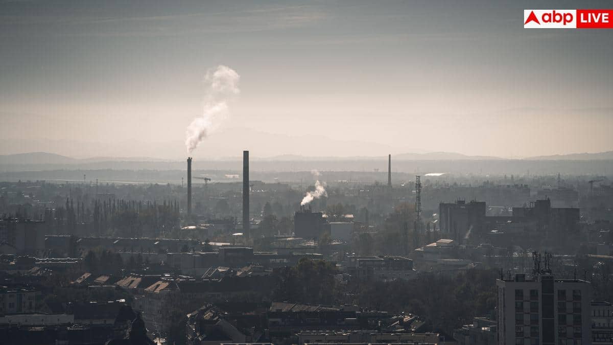 Air Pollution Effects On Brain: सावधान! वायु प्रदूषण से कमजोर होती है याददाश्त, दिमाग को भी पहुंच रहा भारी नुकसान