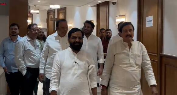 तर भाजपने समीर भुजबळ यांच्या मंत्रीपदाला नकारला दिला असं काही नाही.