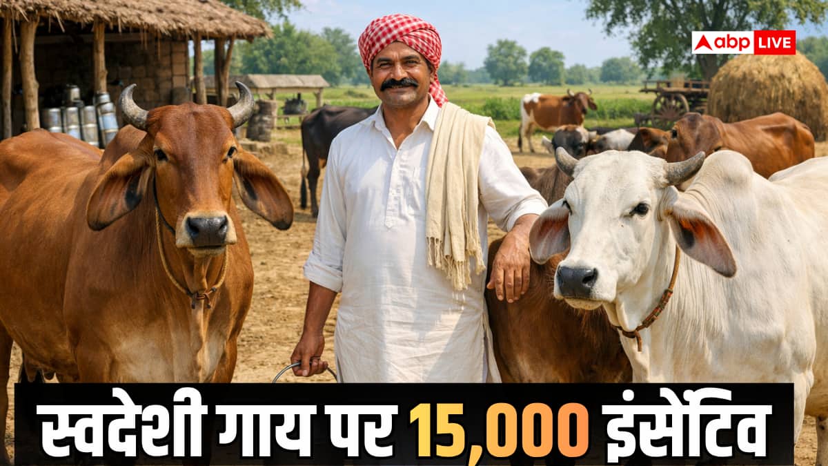 UP Government Scheme: पशुपालकों के लिए खुशखबरी! स्वदेशी गाय पालन पर 15 हजार तक इंसेंटिव, ऐसे उठाए योजना का लाभ