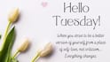 'Good Morning Tuesday': 100+ Quotes To Start Your Day With Positivity And Focus
