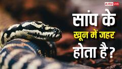 इन देशों में पिया जाता है सांप का खून, जानें इससे क्यों नहीं होती इंसान की मौत?