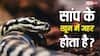 Snake Blood: इन देशों में पिया जाता है सांप का खून, जानें इससे क्यों नहीं होती इंसान की मौत?