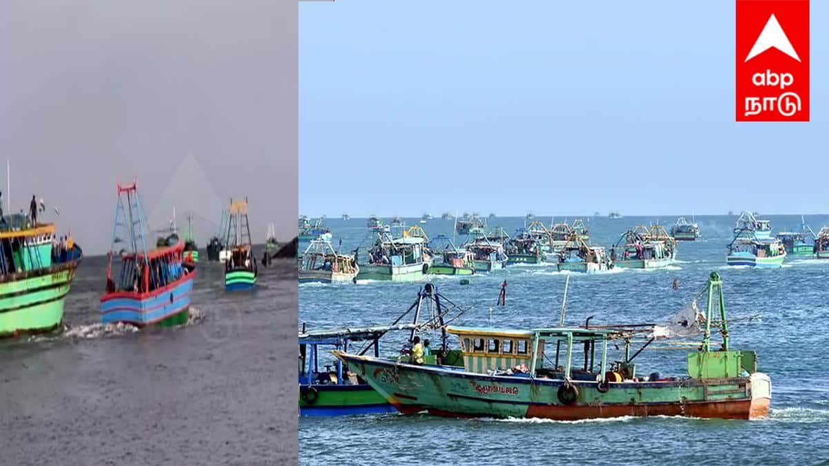 விழுப்புரம்: ஜூன் 10-ல் நாட்டுப் படகுகள் நேரடி ஆய்வு - கலெக்டர் ஷேக் அப்துல் ரஹ்மான் கடும் எச்சரிக்கை!