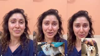 Manjari Fadnnis Says Dog Was Beaten Half To Death, Blames SC For ‘Giving Criminal Minds Safe Haven’