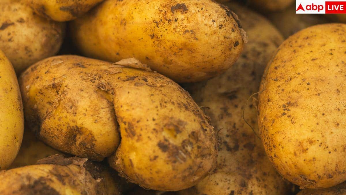 Potatoes And Acidity: क्या सच में आलू खाने से एसिडिटी की दिक्कत होती है? जानें इसको खाने के सही तरीके