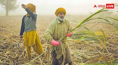 मानसून में नहीं हुई ठीक से बारिश तो भी तगड़ा मुनाफा कमा लेंगे आप, बस इन बातों का रखना होगा ख्याल