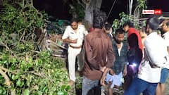 सीतामढ़ी: मौत बनकर गिरा पीपल का पेड़, मां और 4 मासूम बच्चों की मौत, एक महीने का बेटा भी दबा
