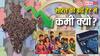 Explained: भारत में लोग एक ही बच्चा पैदा करेंगे! महिलाओं की नौकरी-शिक्षा और देर से शादी कैसे बनेगी वजह?