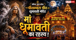 Dhumavati Jayanti 2026: मां धूमावती को क्यों चढ़ाया जाता है नमकीन भोग? जानें पौराणिक कथा, शुभ मुहूर्त और पूजा विधि