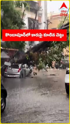 వర్ష బీభత్సానికి వణికిపోయిన నగరం
