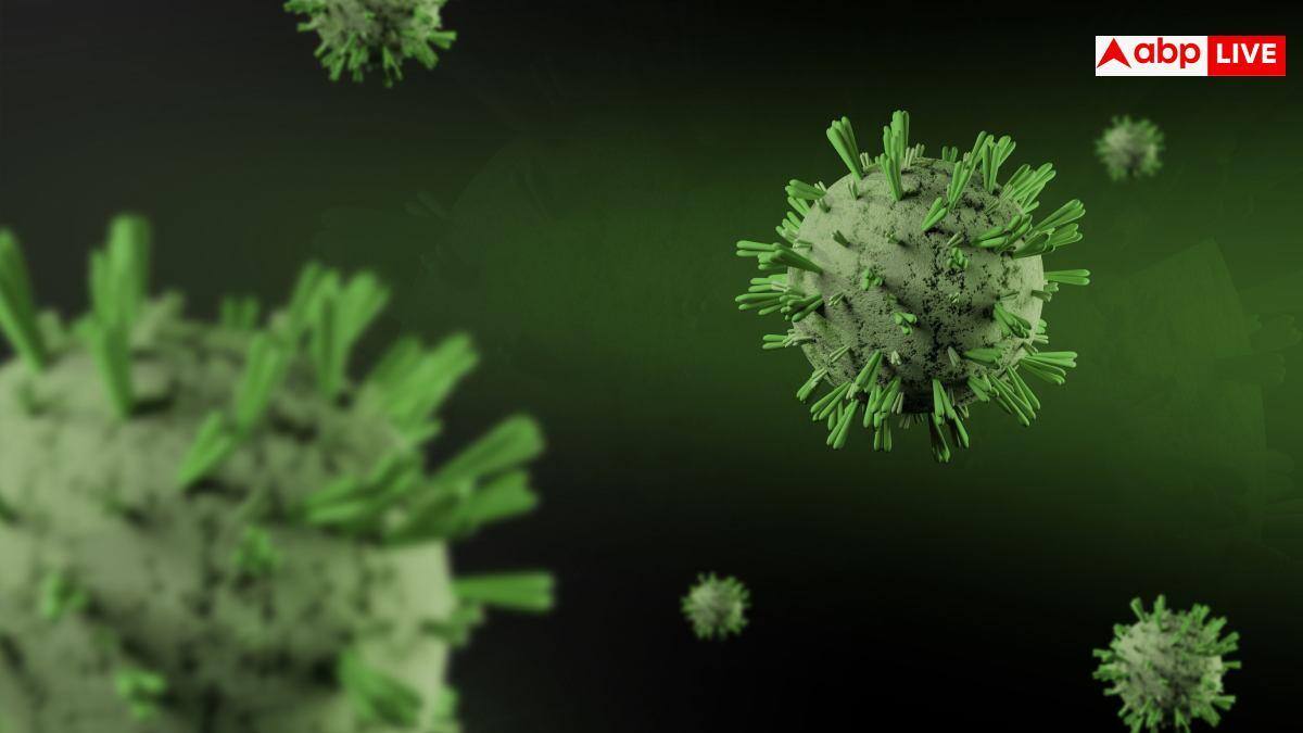 Ghaziabad Polio Virus: गाजियाबाद के सीवेज के सैंपल में मिला पोलियो वायरस, जानें यह कंडीशन कितनी खतरनाक?