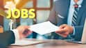 RPSC APO Recruitment 2026: राजस्थान लोक सेवा आयोग में  371 पदों पर भर्ती, ₹1.77 लाख तक मिलेगी सैलरी, आवेदन शुरू