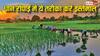 2 किलो धान से ही एक एकड़ में लग जाएगी फसल, इस तरीके से धान रोपें किसान भाई