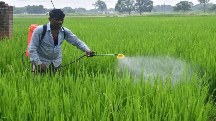 हाल ही में आंध्र प्रदेश सरकार ने बढ़ते खतरों को देखते हुए पैराक्वाट पर 60 दिनों का अस्थाई प्रतिबंध लगाया है. राजस्थान और अन्य राज्यों से भी किसानों की मौत के बाद इसे पूरी तरह बैन करने की मांग तेज हो गई है. राज्य स्तर पर उठ रहे ये कदम साफ बताते हैं कि अब पानी सिर से ऊपर जा चुका है.