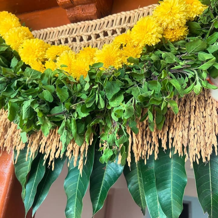 వాస్తు శాస్త్రంలో ఎండిన ఆకులను స్తబ్దత, ప్రతికూలత , బలహీనతకు చిహ్నంగా భావిస్తారు. అందువల్ల, ఇంట్లో ఎండిన తోరణం చాలా మందికి ఒత్తిడి, చిరాకు కలిగించవచ్చు లేదా పనికి ఆటంకం కలిగించవచ్చు.