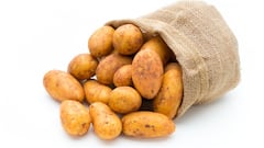 Potatoes and Acidity : బంగాళదుంపలు తింటే గ్యాస్, ఎసిడిటీ వస్తుందా? అసలు నిజం, కారణాలు ఏంటి?
