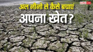 देश के 197 जिलों के लिए आफत बनेगा अल नीनो, ऐसे बचाएं अपना खेत?