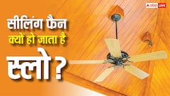 सीलिंग फैन की स्पीड हो गई कम? नया खरीदने से पहले कर लें ये काम