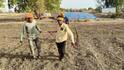 Jalgaon News:  जिद्दीसमोर गरिबी हरली; दोन भावांनी बैलाच्या जागी स्वतःला जुंपून घेत चार एकर जमीन कसली, म्हणाले 'आम्हाला हा खर्च परवडणारा नव्हता...'
