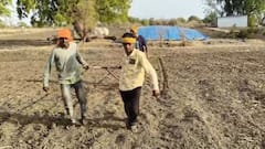 Jalgaon News:  जिद्दीसमोर गरिबी हरली; दोन भावांनी बैलाच्या जागी स्वतःला जुंपून घेत चार एकर जमीन कसली, म्हणाले 'आम्हाला हा खर्च परवडणारा नव्हता...'