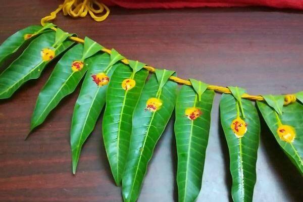 వాస్తు ప్రకారం, తోరణాన్ని మార్చడానికి మంగళవారం, గురువారం, శనివారం, ఏకాదశి, పౌర్ణమి వంటి నిర్దిష్టమైన రోజులు ఉన్నాయి. ఈ రోజులలో మార్పులు చేయడం శుభప్రదం. అయితే, దానిని చెత్తబుట్టలో పారవేయవద్దు. దానిని మట్టిలో పాతిపెట్టండి లేదా ప్రవహించే నీటిలో వదలండి.