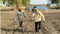 Jalgaon News:  जिद्दीसमोर गरिबी हरली; दोन भावांनी बैलाच्या जागी स्वतःला जुंपून घेत चार एकर जमीन कसली, म्हणाले 'आम्हाला हा खर्च परवडणारा नव्हता...'