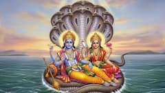 Parama Ekadashi 2026: మీ పాపాల నుంచి విముక్తి కోసం ఏకాదశి రోజు ఈ 4 పనులు చేయండి!