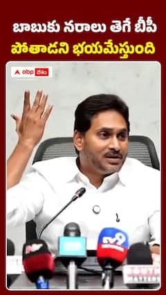 బాబుకు నరాలు తెగే బీపీ.. పోతాడేమో అని భయమేస్తుంది