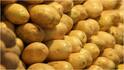Potatoes and Acidity : బంగాళదుంపలు తింటే గ్యాస్, ఎసిడిటీ వస్తుందా? అసలు నిజం, కారణాలు ఏంటి?