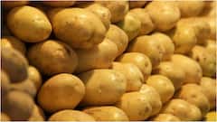 Potatoes and Acidity : బంగాళదుంపలు తింటే గ్యాస్, ఎసిడిటీ వస్తుందా? అసలు నిజం, కారణాలు ఏంటి?