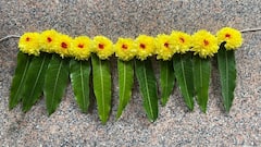 Vastu Tips Telugu: ఇంటి ద్వారానికి కట్టిన పచ్చని తోరణం ఎప్పుడు తీయాలి?