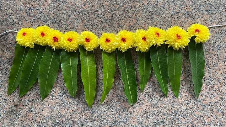 కొన్నిసార్లు, అంతా సవ్యంగా సాగుతున్నప్పటికీ పనులు నిలిచిపోతాయి. కొత్త ప్రాజెక్టును ప్రారంభించినా లేదా ఒక శుభకార్యాన్ని ప్లాన్ చేస్తున్నా, చిన్న చిన్న అడ్డంకులు ఎదురవుతాయి. అటువంటి పరిస్థితులలో ఎండిపోయిన తోరణం వంటి మీ చుట్టూ ఉన్న చిన్న విషయాలపై శ్రద్ధ పెట్టడం ముఖ్యం.