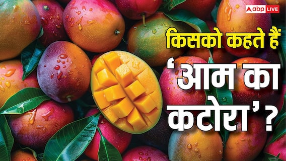 Most Mango Producing State: भारत में कहां पैदा होता है सबसे ज्यादा आम, जानें पूरे साल में कितने टन होती है पैदावार? Most Mango Producing State: भारत में कहां पैदा होता है सबसे ज्यादा आम, जानें पूरे साल में कितने टन होती है पैदावार?