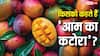 Most Mango Producing State: भारत में कहां पैदा होता है सबसे ज्यादा आम, जानें पूरे साल में कितने टन होती है पैदावार?