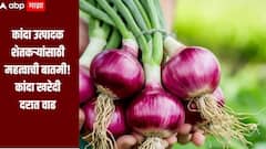 कांदा उत्पादक शेतकऱ्यांसाठी महत्वाची बातमी, खरेदी दरात सरकारनं केली वाढ  
